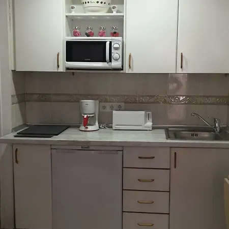 Apartamento En Carihuela アパート トレモリノス